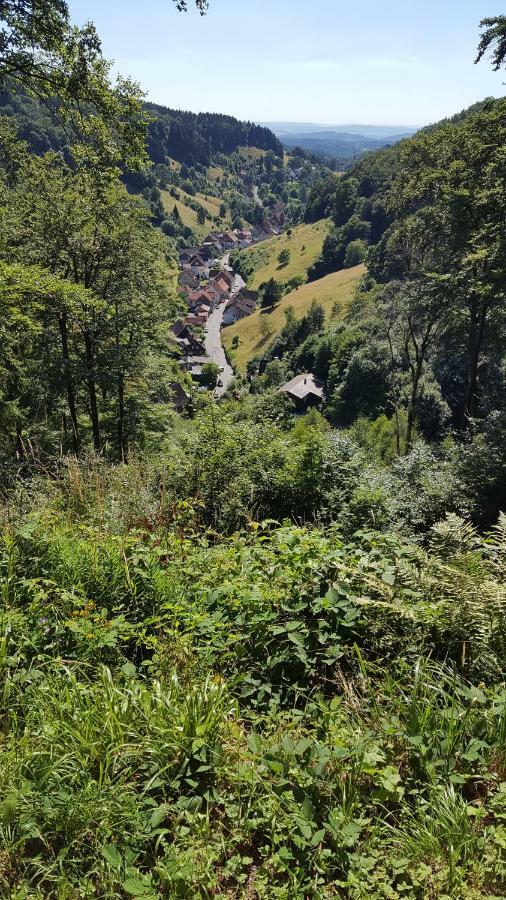 Fewo Bergblick Osterode am Harz Extérieur photo
