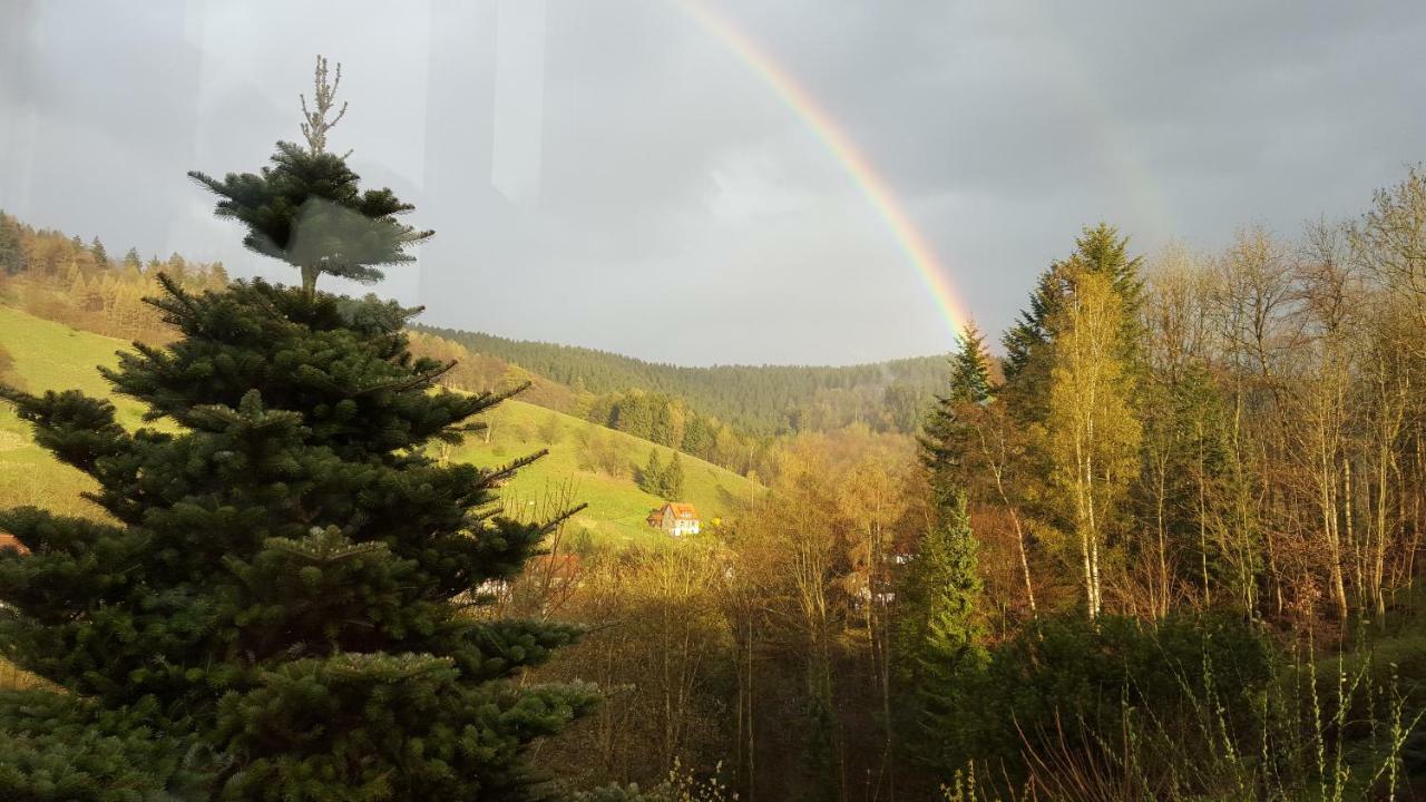 Fewo Bergblick Osterode am Harz Extérieur photo